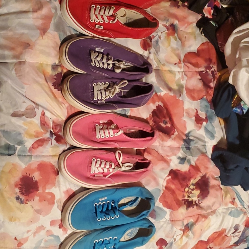 Colorful Vans